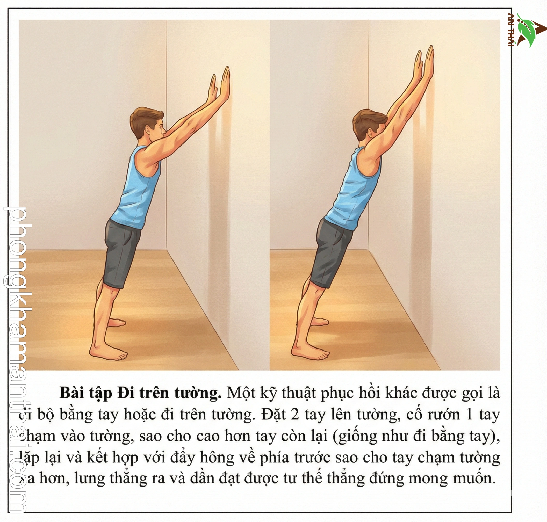 Bài tập đi trên tường