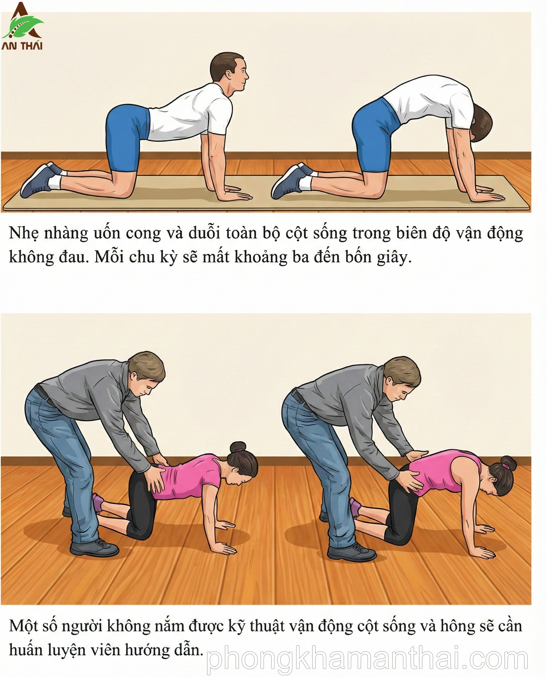 Bài tập Mèo Lạc Đà