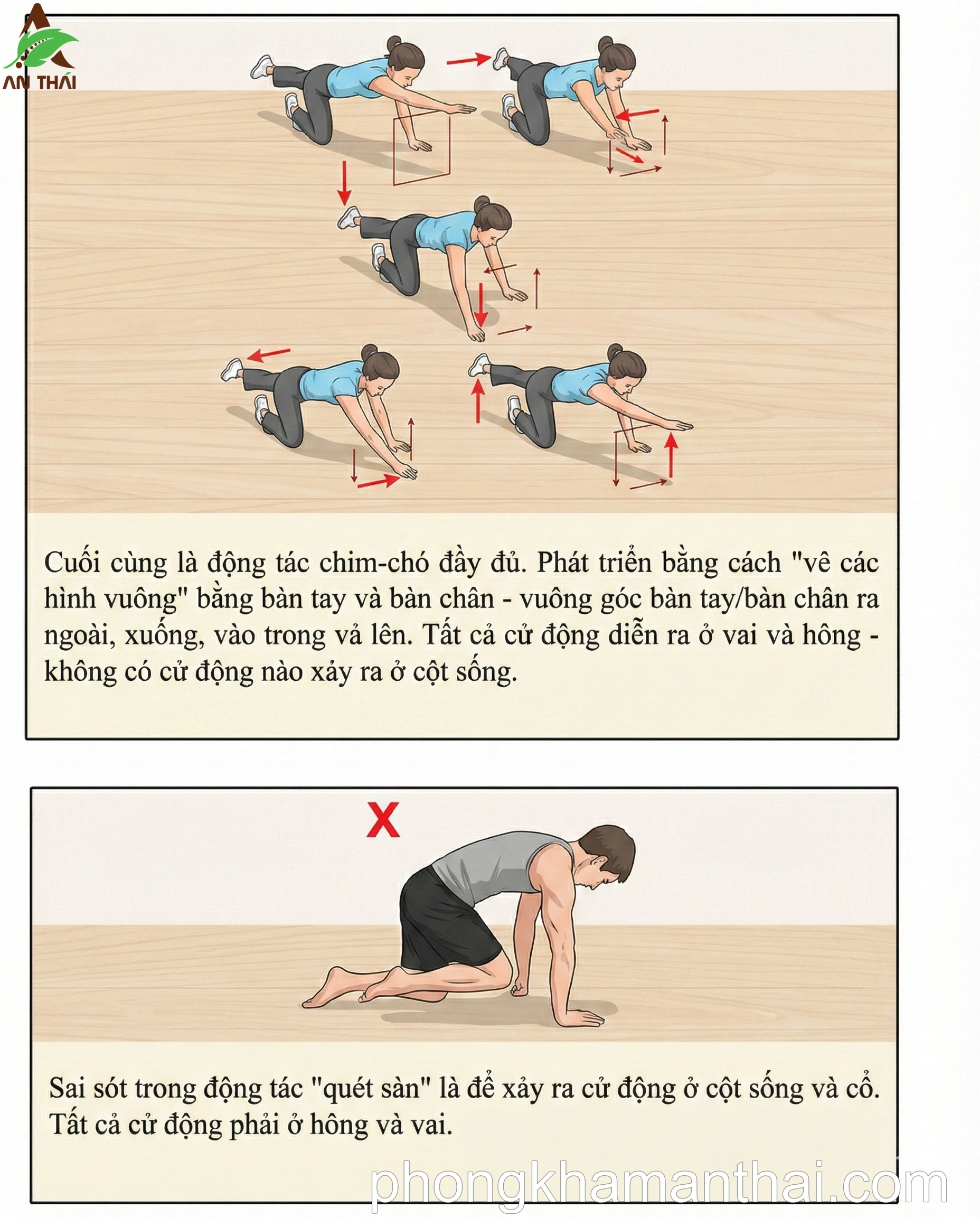 Bài tập Chim Chó 3