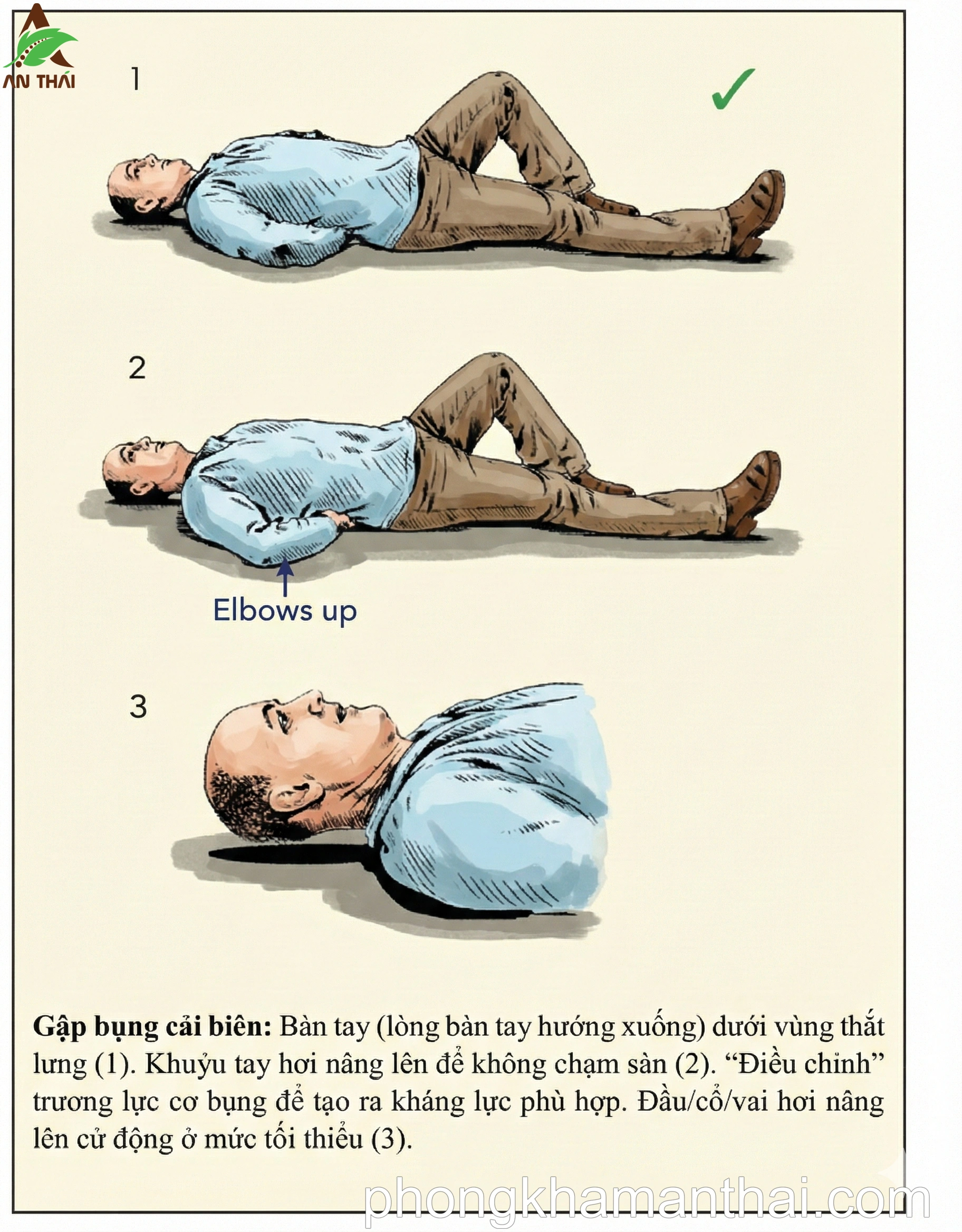 Gập bụng cải biên 1