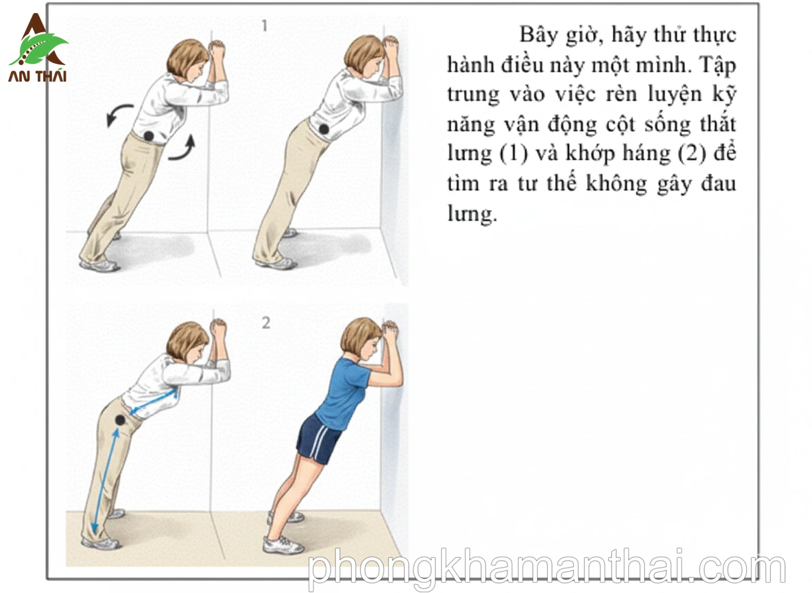 Plank trên tường 2